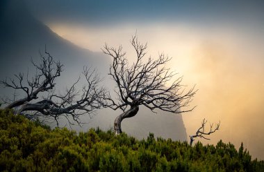 Portekiz 'in Madeira adasının en yüksek noktası olan Arieiro tepesi yakınlarındaki dağ ve kayaların manzarası