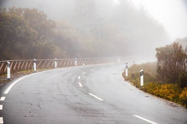 Yağmurlu bir günde yol