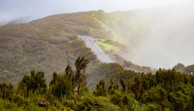 Yağmurlu bir günde yol