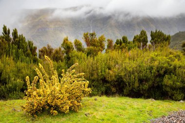 Yağmurlu bir günde yol