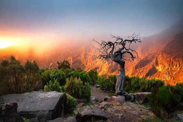 Portekiz 'in Madeira adasının en yüksek noktası olan Arieiro tepesi yakınlarındaki dağ ve kayaların manzarası