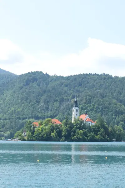 Bled Island 'daki Varsayım Kilisesi yemyeşil orman ve sakin göl sularıyla çevrili..