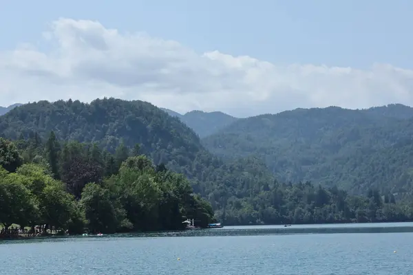 Sloven dağlarının arka planında yumuşak bulutların altında gölün yakınındaki yoğun orman.