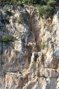 Keskin kayalıklar, yaban yeşil ağaçlar ve çalılarla kaplı dikey çizgiler ve turuncu tonlarla kıyı şeridini oluşturur..