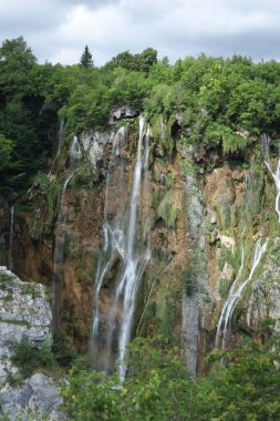 Güçlü şelaleler yosun ve bitkilerle kaplı kayalıkların üzerine düşüyor. Ham doğa gücü ve zarafetin bir göstergesi..
