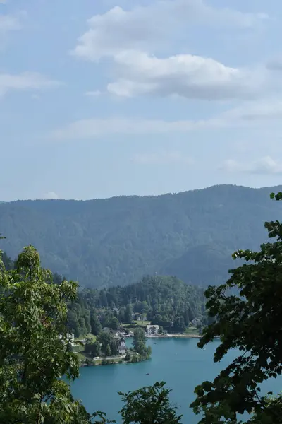 Orman vadisinin, gölün ve mavi gökyüzünün altındaki uzak sıradağların sakin manzarası..