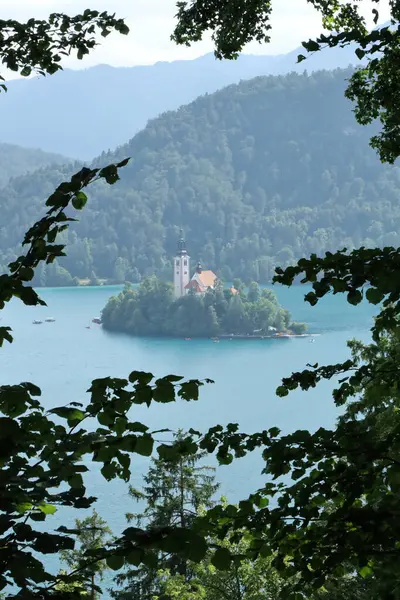 Adanın ikonik kilisesiyle Bled Gölü manzarası, doğal olarak ağaç dalları tarafından çerçevelenmiş..