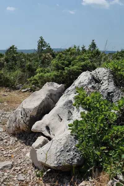 Keskin beyaz kireçtaşı Akdeniz 'in kuru kayalık arazisindeki canlı yeşil çalılar arasında kayalar.