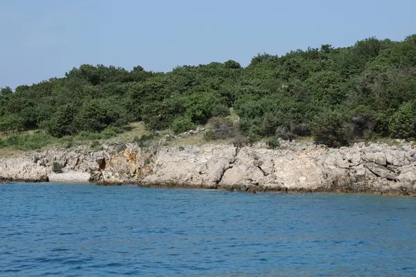 Kayalık kıyı şeridinde yeşil deniz feneri olan tarihi taş bir evin kalıntıları. Yoğun yeşilliklerle çevrili ve açık mavi gökyüzünün altında yer bir gizem ve zaman hissi uyandırıyor..