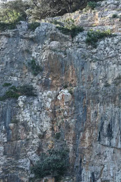 Bu çarpıcı görüntü, parlak uçurumları ve yoğun dokuları olan koyu okyanus sularının kontrastını ortaya koyuyor..