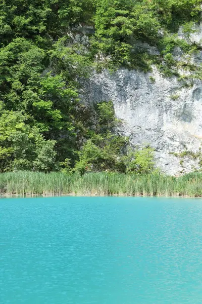 Plitvice 'nin barışçıl ama güçlü atmosferini gösteren dramatik bir kaya yüzeyi ve sık bir orman karşısında sakin zümrüt suyun yakın görüntüsü.