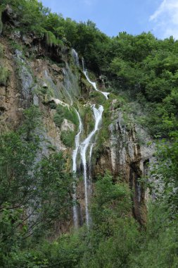 Uzun bir şelale sarp kayalıklardan aşağı süzülür. Ağaçlar yemyeşil ve açık mavi bir gökyüzü ile çevrilidir..