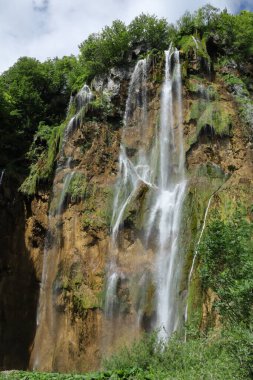 Parlak yeşil yapraklarıyla kayalık bir uçurumun üzerinden akan bir şelale gün ışığında parıldıyor..