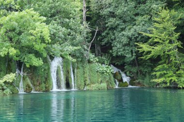 Verimli yeşillikler yazın huzurlu bir orman ortamında derin mavi bir göle akan çoklu şelaleleri çevrelemektedir..