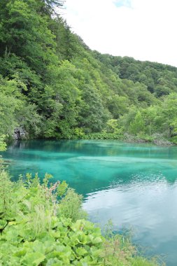 Canlı bir turkuaz bahar, yumuşak yeşil tepeler ve kristal berrak su yansımalarıyla çevrili yemyeşil bir orman vadisinde oturur..