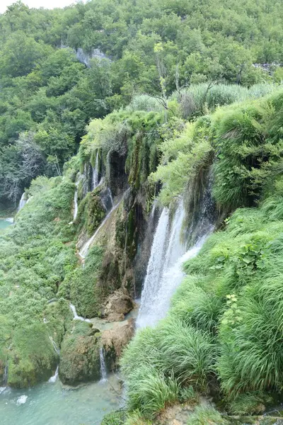 Çok sayıda şelale, el değmemiş ormandaki yoğun yeşil bitki örtüsüyle çevrili yosunlu uçurumlardan aşağı dökülür..