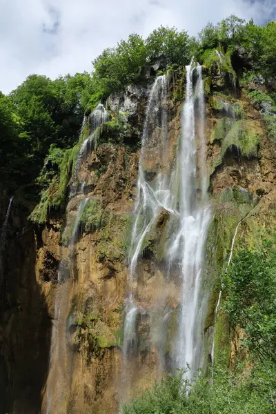 Güçlü bir şelale yosunlu, engebeli uçurumlardan aşağı yuvarlanıyor. Parlak gökyüzünün altında yemyeşil ormanlarla çevrili..