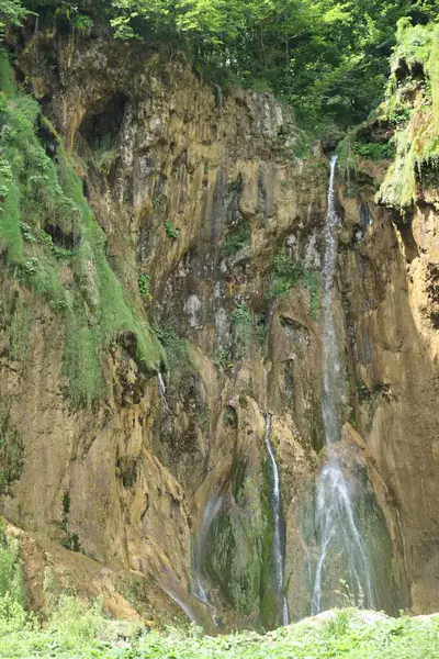 Plitvice Gölleri Ulusal Parkı 'nda çağlayan şelaleler ve yoğun yeşillikle dramatik bir uçurum..