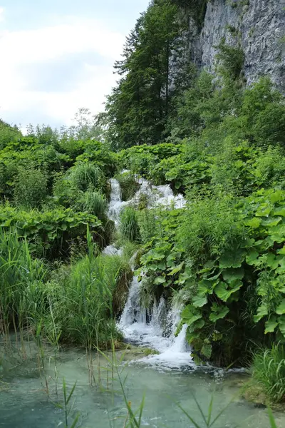 Plitvice 'de yoğun yaz bitki örtüsü ve temiz suyla çevrili küçük bir şelale..