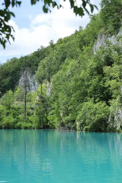 Canlı bir turkuaz göl ormanlık tepelerin ve kayalıkların altında berrak bir gökyüzünün altında huzur içinde uzanıyor..