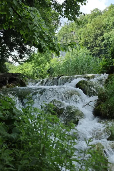 Dar bir derenin hızlı akan suları kayaları ve bitkileri geçerek beyaz köpük ve doku oluşturur..