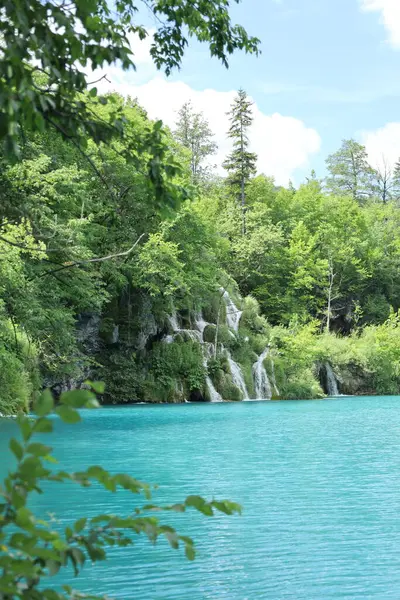Çok yumuşak şelaleler el değmemiş bir turkuaz göle akar, güneşli yaz gökyüzünün altında canlı orman bitkileriyle kucaklaşır.
