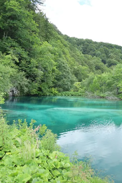 Canlı bir turkuaz bahar, yumuşak yeşil tepeler ve kristal berrak su yansımalarıyla çevrili yemyeşil bir orman vadisinde oturur..