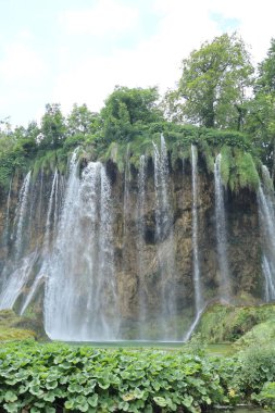 Etrafı kalın yapraklar ve doğal güzelliklerle çevrili, yosunlu bir duvardan sessiz yeşil bir gölete dökülen sayısız şelale..