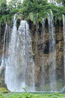 Enerjik bir şelale sivri bir kaya yüzeyine çarpar ve çevredeki yemyeşil alana sis gönderir..