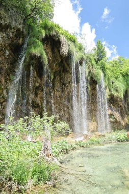 Güneş filtrelerken, bir ağaç dalında parlıyor. Doğal desenlerin güzelliğini vurguluyor..