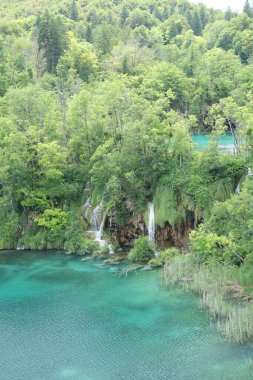 Plitvice Gölleri Ulusal Parkı 'nda sık ormanlarla çevrili çarpıcı şelaleler ve canlı turkuaz göller görülüyor..