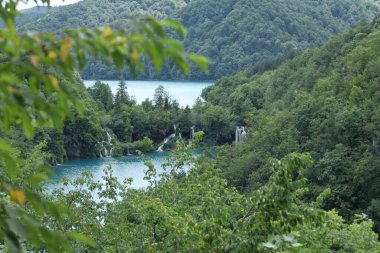 Gizli şelaleler, arka planda uzak bir göl bulunan sık ormanları ve tepeleri gözetler, ağaç yaprakları arasından çekilir..