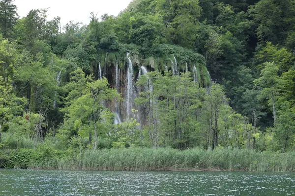 Yükselen şelaleler sarp bir uçurumdan aşağı yuvarlanıyor. Yoğun ve canlı bir ormanın kalbinde geçiyor..