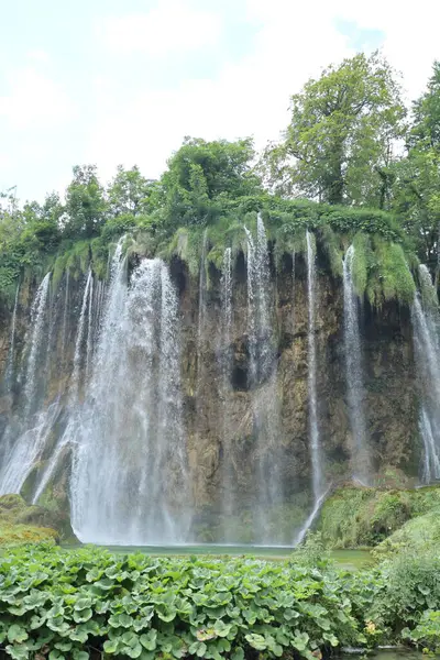 Etrafı kalın yapraklar ve doğal güzelliklerle çevrili, yosunlu bir duvardan sessiz yeşil bir gölete dökülen sayısız şelale..