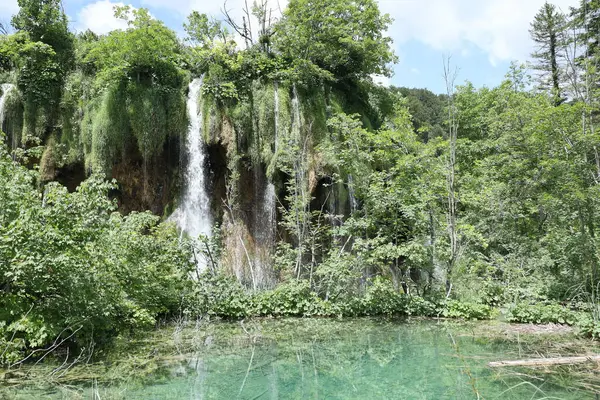 Dar bir toprak yol yemyeşil bir ormanın içinde süzülüyor, yukarıdaki gölgelikten süzülen sıcak güneş ışığıyla benekli..