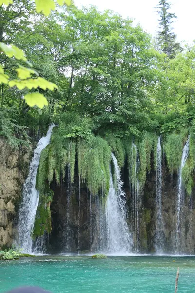 Gölgeli yürüyüş yolu, sık orman yeşilliği boyunca sessizce esiyor. Yalnızlık ve huzur dolu bir bataklık sunuyor doğaya..
