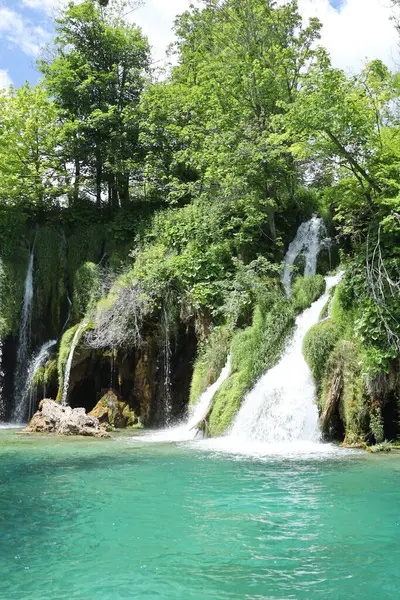 Ormanın zemininde düşen yapraklardan oluşan bir mozaik örtü örterek mevsimin geçişini ve doğal dokusunu yakalıyor..