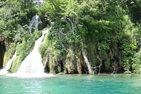 Geniş ve parlak bir şelale yosunlu uçurumlardan geçip sık ormanlarla çevrili sığ bir turkuaz göle akar..