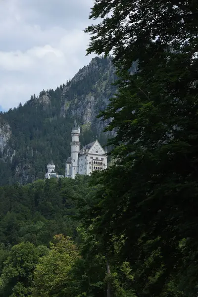 Ikonik Neuschwanstein Şatosu, Bavyera Alpleri 'nde gizem ve ihtişam duygusuyla ele geçirildi..