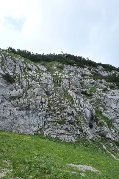 Uçsuz bucaksız bir gökyüzünün altında çimen parçaları ve dağınık sarı kır çiçekleriyle kayalık bir yamacın dikey görüntüsü..