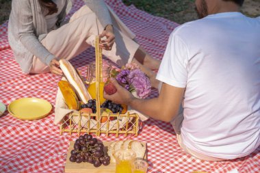 Çiftler güzel ve doğal bir parkta piknik yapıyorlar.