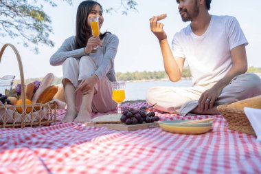 Çiftler güzel ve doğal bir parkta piknik yapıyorlar.