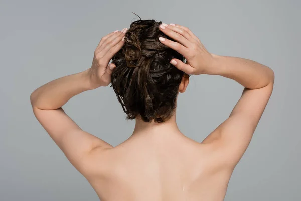 Задний Вид Молодой Женщины Голыми Плечами Моющие Волосы Изолированы Сером — стоковое фото