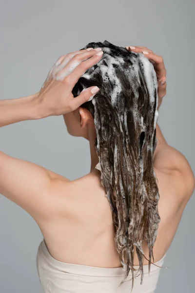 Вид Сзади Молодой Женщины Моющей Влажные Пенные Волосы Изолированные Сером — стоковое фото