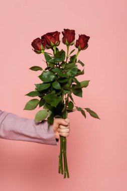 Pembe üzerine izole edilmiş kırmızı gül buketi tutan ceketli etkinlik sunucusunun kırpılmış görüntüsü 