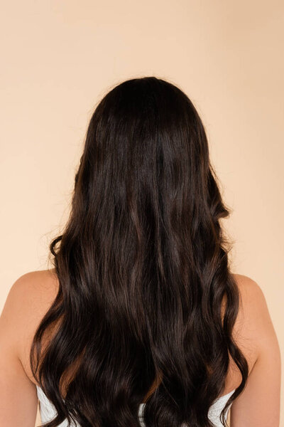 Back view of woman with healthy brunette hair standing isolated on beige 