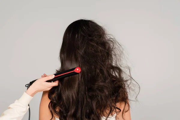 hairdresser straightening hair of curly brunette woman with hair iron isolated on grey