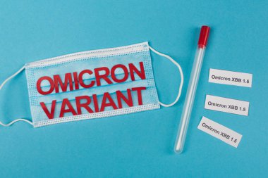 Top view of medical mask and throat swab near omicron xbb lettering on blue background