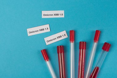 Top view of omicron xbb lettering near throat swabs and test tubes on blue background 