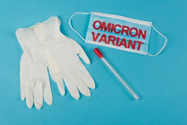 Top view of medical mask with omicron variant near cotton swab and latex gloves on blue background 